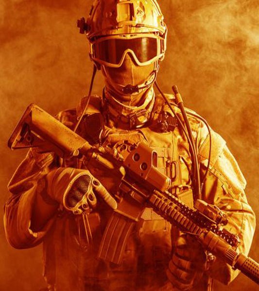 Life Of Gun