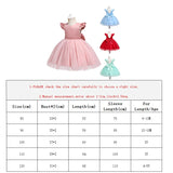 Elegant Princess Lace Dress Kids Dresses For Girls