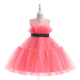 Elegant Fluffy Princess Party Dress