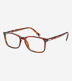 Ray-Ban Sunglass