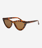 Ray-Ban Sunglass